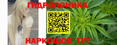 шишки Свободный