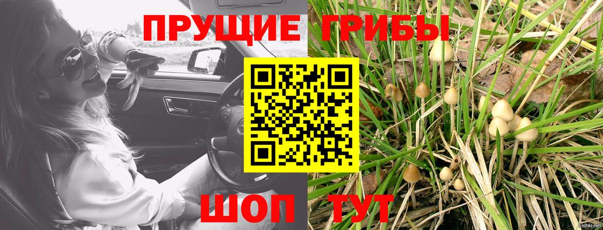 Прокопьевск  Галлюциногенные грибы мухоморы  Вход с VPN 